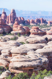 Sandsteinspitzen, Chesler Park, der Nadelbezirk, Canyonlands National Park, Utah, USA Sandsteinspitzen, Chesler Park, der Nadelbezirk, Canyonlands National Park, Utah, USA